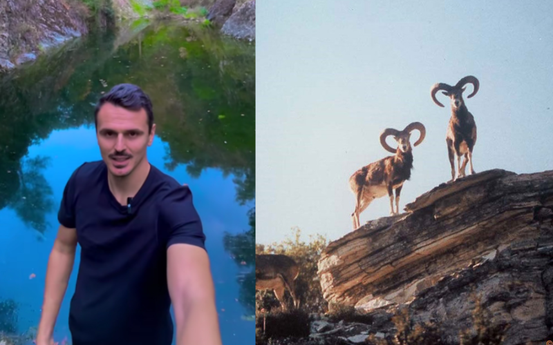 «Πάγωσε»: Γνωστός TikToker εντοπίζει δύο αγρινά νεκρά στη φύση της Κύπρου – «Δεν ήταν αυτό που περίμενα να δω…»