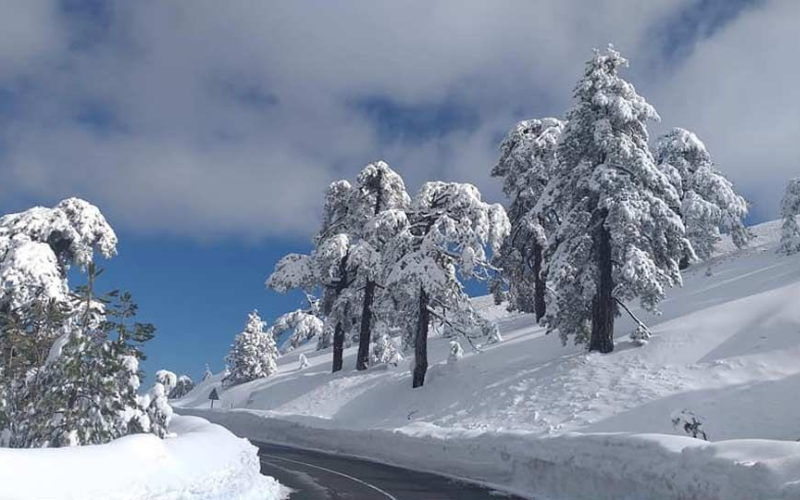 Έ&chi;&alpha;&sigma;&alpha;&nu; &tau;&eta; &beta;έ&rho;&alpha; &sigma;&tau;&omicron; &Tau;&rho;ό&omicron;&delta;&omicron;&sigmaf; &ndash; &Eta; &alpha;&nu;ά&rho;&tau;&eta;&sigma;&eta; &pi;&omicron;&upsilon; &sigma;&upsilon;&gamma;&kappa;ί&nu;&eta;&sigma;&epsilon; ό&lambda;&eta; &tau;&eta;&nu; &Kappa;ύ&pi;&rho;&omicron;