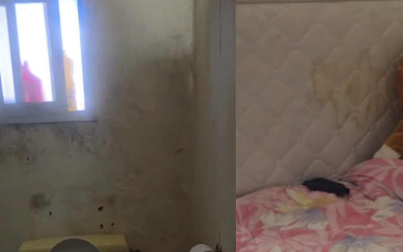 &Beta;ί&nu;&tau;&epsilon;&omicron; &pi;&omicron;&upsilon; &sigma;&upsilon;&gamma;&kappa;&lambda;&omicron;&nu;ί&zeta;&epsilon;&iota;: &Omicron;&iota;&kappa;&omicron;&gamma;έ&nu;&epsilon;&iota;&alpha; &sigma;&tau;&eta; &Kappa;ύ&pi;&rho;&omicron; &mu;&epsilon; &tau;έ&sigma;&sigma;&epsilon;&rho;&alpha; &pi;&alpha;&iota;&delta;&iota;ά &zeta;&epsilon;&iota; &sigma;&epsilon; ά&theta;&lambda;&iota;&epsilon;&sigmaf; &sigma;&upsilon;&nu;&theta;ή&kappa;&epsilon;&sigmaf;